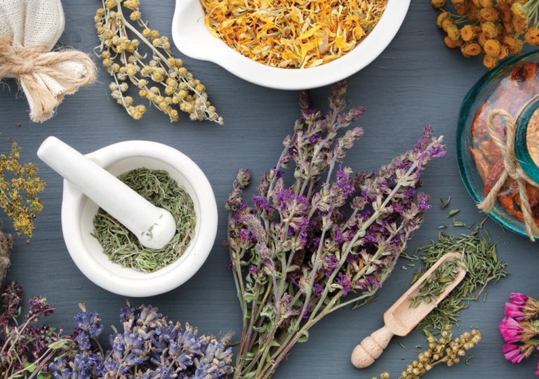 Introductory course in herbal  medicine and sustainable futures