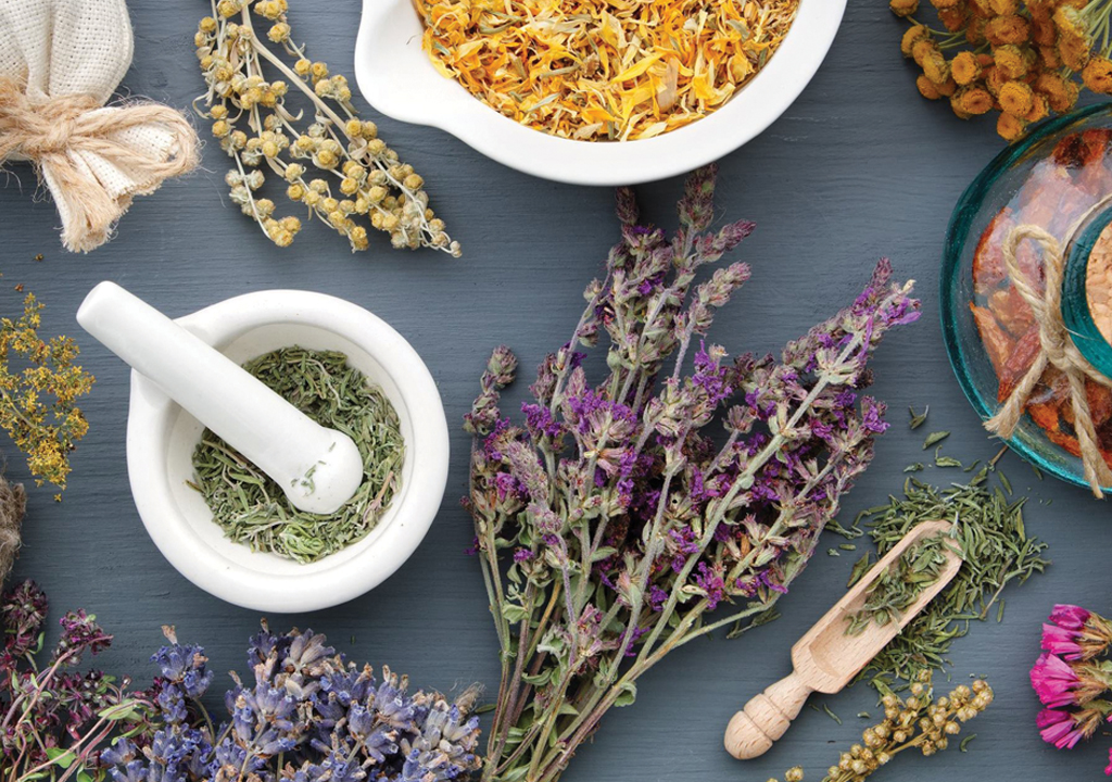 You are currently viewing Summer Herbal Medicine Course